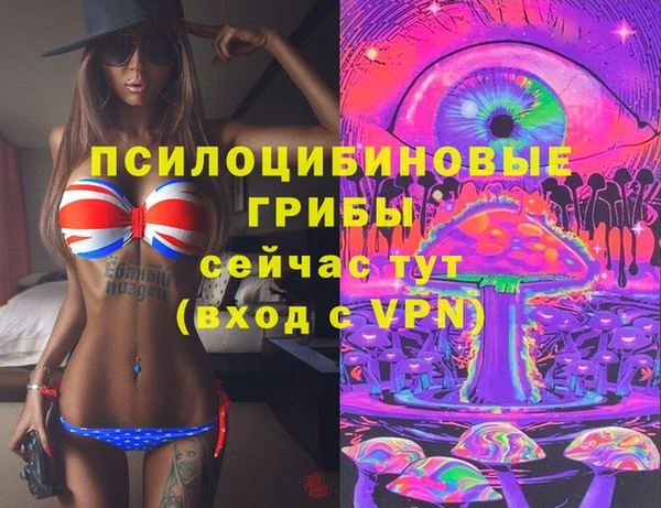 марки lsd Вяземский